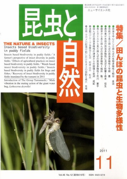 昆虫と自然 11月号 (発売日2011年10月20日) 表紙