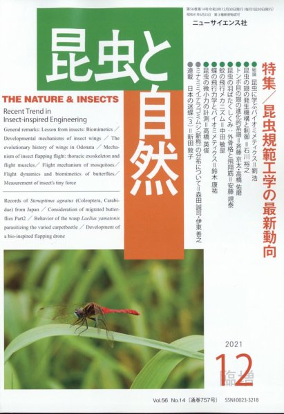 昆虫と自然 12月臨時増刊号 (発売日2011年12月02日) 表紙
