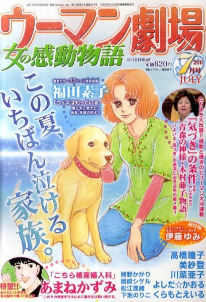 ウーマン劇場 女の感動物語 7月号 (発売日2011年06月06日) 表紙