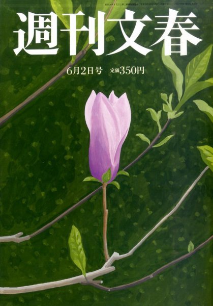 週刊文春 6/2号 (発売日2011年05月26日) 表紙