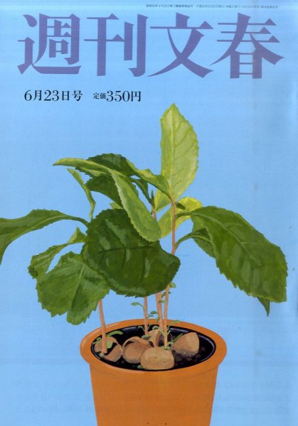 週刊文春 6/23号 (発売日2011年06月16日) 表紙