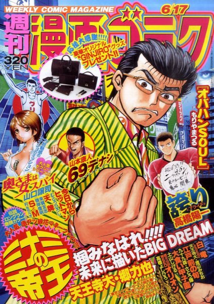 週刊漫画ゴラク 6/17号 (発売日2011年06月03日) 表紙
