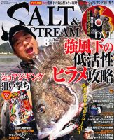 SALT＆STREAM（ソルト＆ストリーム）のバックナンバー (4ページ目 15件