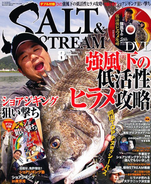 SALT＆STREAM（ソルト＆ストリーム） 8月号 (発売日2011年06月21日) 表紙