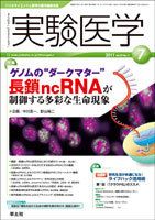 実験医学 Vol.29No.11 表紙