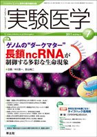 実験医学 Vol.29No.11 (発売日2011年06月20日) 表紙