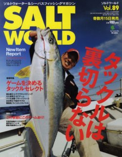 SALT WORLD（ソルトワールド） Vol.89 (発売日2011年07月15日) 表紙