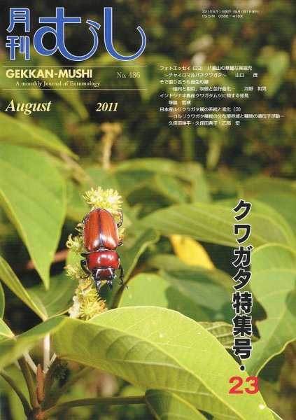 月刊むし 486 (発売日2011年07月22日) 表紙