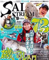 ★SALT & STREAM (ソルトアンドストリーム) 2013年 7月号 SALT＆STREAM（ソルト＆ストリーム）のバックナンバー (4ページ目 15件