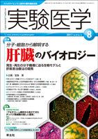 実験医学 Vol.29No.13 表紙