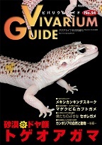 初期ビバリウムガイド 10冊セット① ビバリウムガイド No.93 2021年 06 月号 まるまるニシアフ |本 | 通販