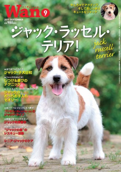 wan（わん） 2011年9月号 (発売日2011年08月13日) 表紙