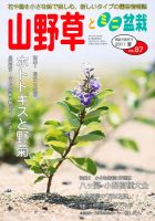 小松泉　秋静庵　小品盆栽　山野草 小松泉 秋静庵 小品盆栽 山野草 小松泉 秋静庵 小品盆栽 山野草