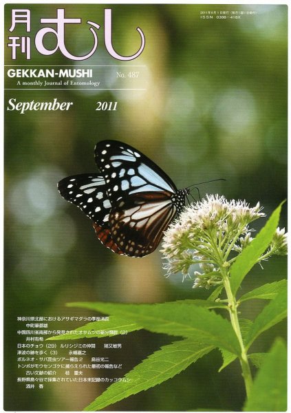 月刊むし 487 (発売日2011年08月22日) 表紙
