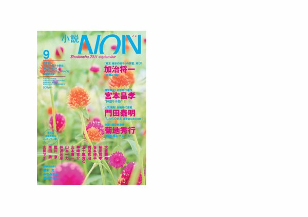 小説NON 9月号 (発売日2011年08月22日) 表紙