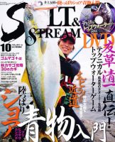 SALT＆STREAM（ソルト＆ストリーム）のバックナンバー (4ページ目 15件