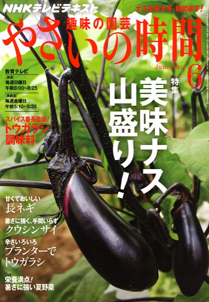 NHK 趣味の園芸 やさいの時間 6月号 (発売日2011年05月21日) 表紙