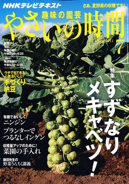 NHK 趣味の園芸 やさいの時間 7月号 (発売日2011年06月21日) 表紙