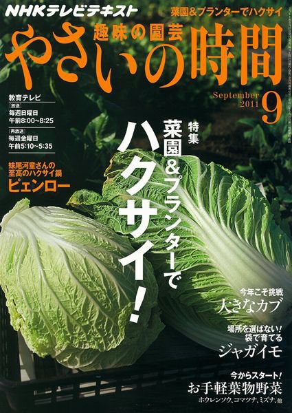 NHK 趣味の園芸 やさいの時間 9月号 (発売日2011年08月20日) 表紙
