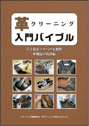 革クリーニング 入門バイブル 2010年11月01日発売号 表紙