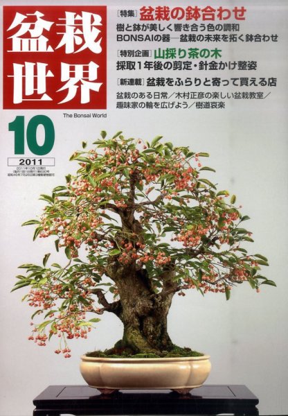 盆栽世界 2011年10月 (発売日2011年09月03日) 表紙