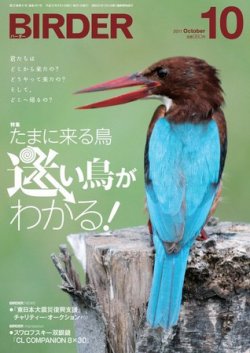 BIRDER（バーダー） 2011年10月号 (発売日2011年09月16日) | 雑誌/電子