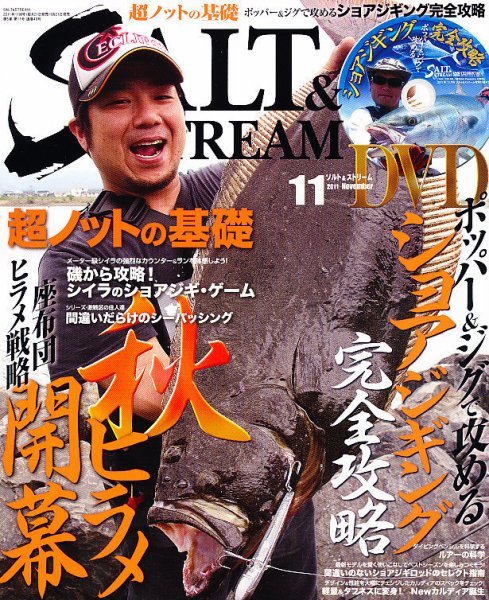 SALT＆STREAM（ソルト＆ストリーム） 11月号 (発売日2011年09月21日) 表紙