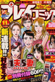 プレイコミック 11月号 (発売日2011年09月24日) 表紙