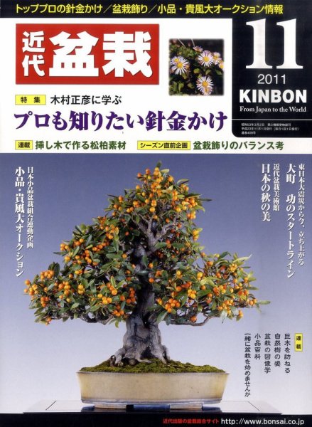 月刊 近代盆栽 11月号 (発売日2011年10月04日) 表紙