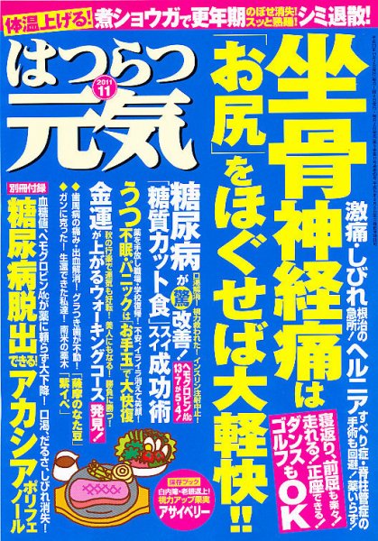 はつらつ元気 11月号 (発売日2011年10月01日) 表紙