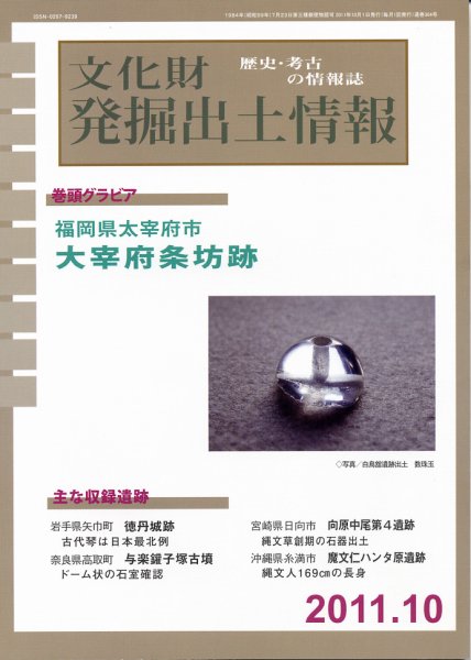 文化財発掘出土情報 10月号 (発売日2011年10月01日) 表紙