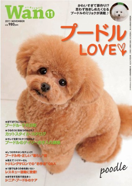 wan（わん） 2011年11月号 (発売日2011年10月14日) 表紙