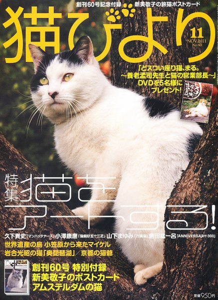 猫びより 60号 (発売日2011年10月12日) 表紙