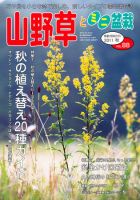 山野草とミニ盆栽 11月号 (発売日2011年10月12日) 表紙
