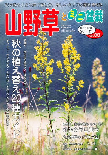 山野草とミニ盆栽 11月号 (発売日2011年10月12日) 表紙