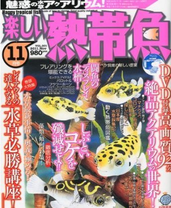 楽しい熱帯魚 11月号 (発売日2011年10月11日) 表紙