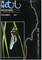 月刊むし 489 表紙