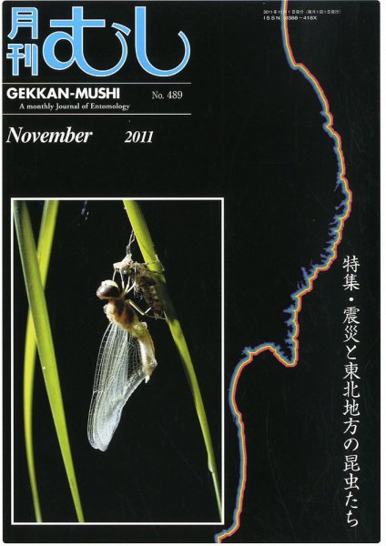 月刊むし 489 (発売日2011年10月22日) 表紙