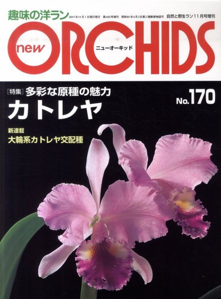 new ORCHIDS(ニュー・オーキッド)  170号 (発売日2011年10月24日) 表紙