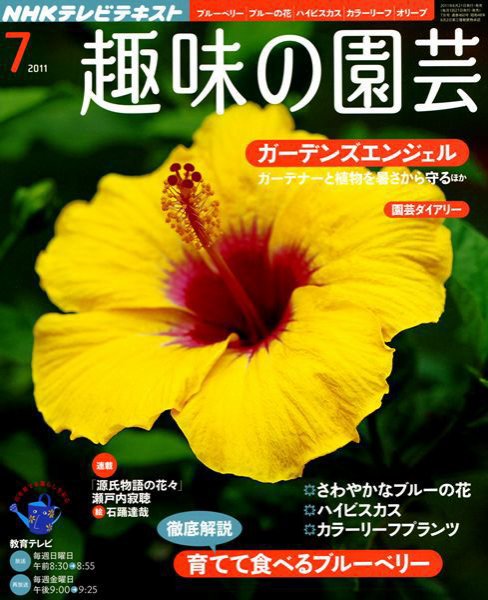 NHK 趣味の園芸 7月号 (発売日2011年06月21日) 表紙
