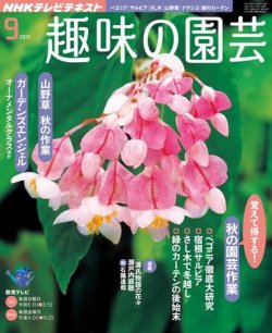 雑誌 定期購読の予約はfujisan 雑誌内検索 ベゴニア がnhk 趣味の園芸の11年08月日発売号で見つかりました
