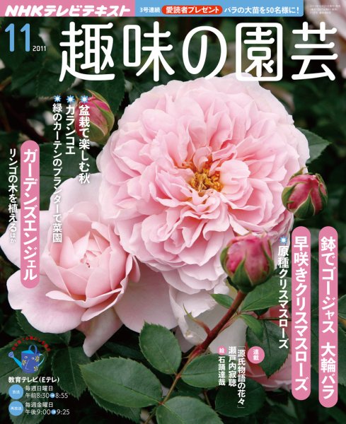 NHK 趣味の園芸 11月号 (発売日2011年10月21日) 表紙
