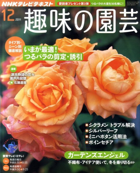 NHK 趣味の園芸 12月号 (発売日2011年11月21日) 表紙