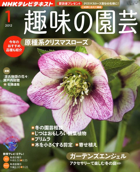 NHK 趣味の園芸 1月号 (発売日2011年12月21日) 表紙