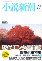 小説新潮 11月号 表紙
