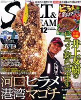 SALT＆STREAM（ソルト＆ストリーム） 12月号 (発売日2011年10月21日) 表紙