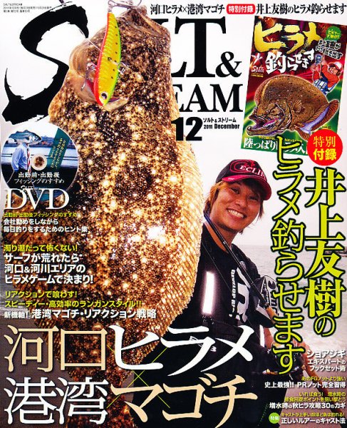 SALT＆STREAM（ソルト＆ストリーム） 12月号 (発売日2011年10月21日) 表紙