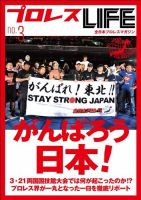 プロレスLIFE vol.3 (発売日2011年04月01日) 表紙