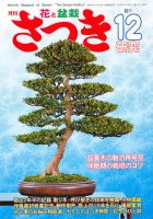 さつき研究 12月号 (発売日2011年11月05日) 表紙