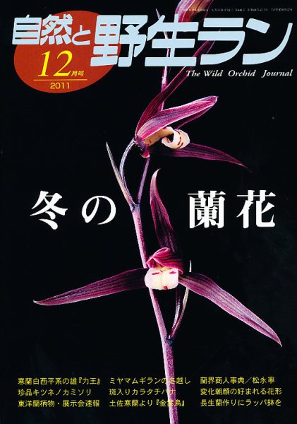 園芸Japan 2011年12月 (発売日2011年11月11日) 表紙